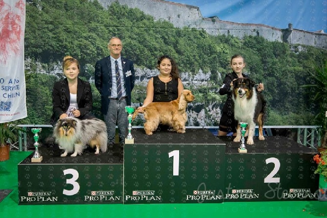 Du Reflet De Saphir - Shadow et Zoé au Junior Handling du CACIB de Besançon