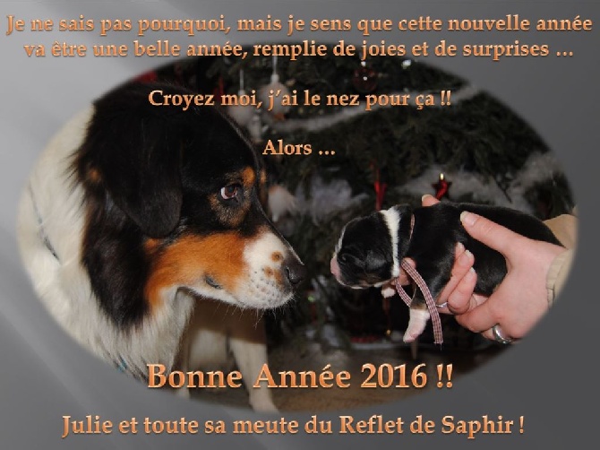 Du Reflet De Saphir - Meilleurs voeux pour 2016 ...